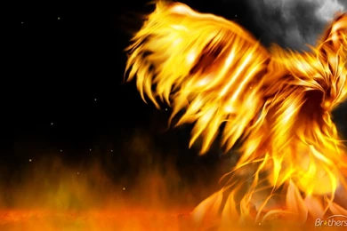 Fire_everywhere_animated_wallpaper 497035 1341802636.jpeg