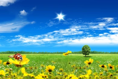 47 Summer Fantasy Landscape For Desktop Wallpapers Cool Desktop ...
