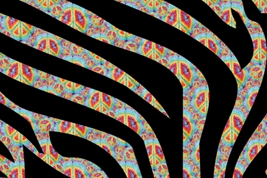 Zebra Print Wallpapers   Best Car 2015