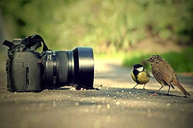 Camera Photography HD Wallpapers   New Wallpapers For You