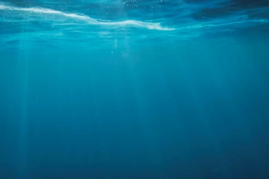 Download] Nokia Lumia 1020 Wallpapers And Ringtones