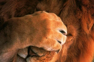 Live Me Alone! HD Desktop Wallpapers : Widescreen : High Definition ...