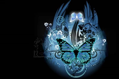 Butterfly Wallpapers Download   HD Wallpapers Lovely