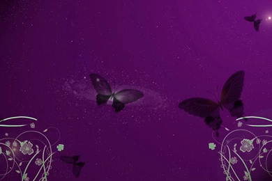 Purple Butterfly Wallpapers For Android