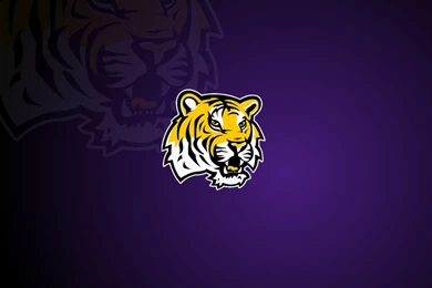 Lsu Wallpapers Wallpapers Cave