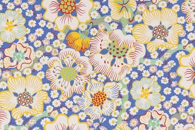 Frank_19 1920x1200.jpg