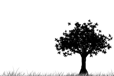 Tree Backgrounds By KrunkSteev On DeviantArt