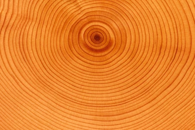 Download Wallpapers 2560x1600 Tree, Background, Circles, Slice ...