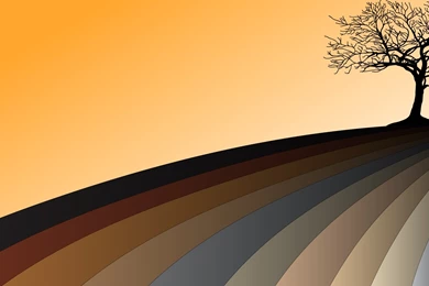 Tree Background Images   Wallpapers Cave