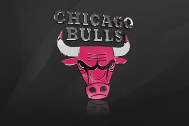 Cool Bulls Logo   Bing Images