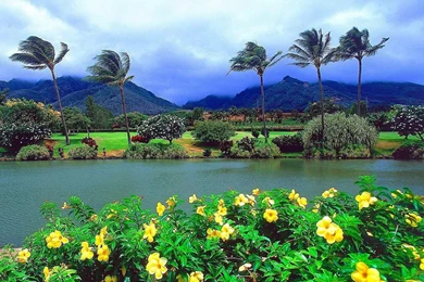 Maui Island In Hawaii Wallpapers