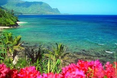 Kawaii Wallpapers   129244