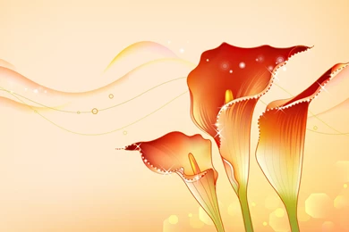 Abstract flower wallpaper designs 781.jpg