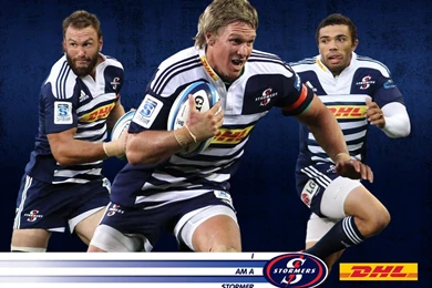 Wallpapers Stormers Rugby Here We Go 1024x768