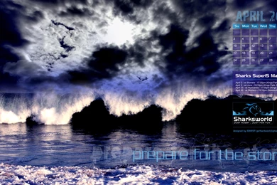 Sharksworld » Blog Archive » New Exclusive Desktop Wallpapers For ...