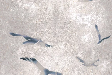 LouiseBody Stonewall Flight LBW3029 01 01.jpg