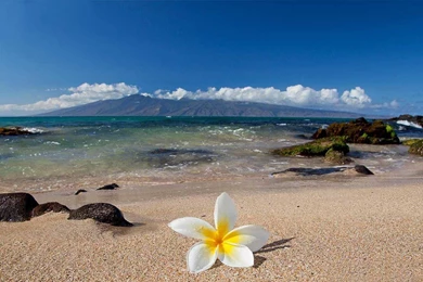Download Free HQ Maui Wallpapers   Hqwallbase.pw
