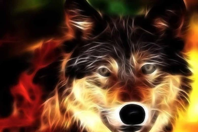 3D HD Computer Wallpapers 1