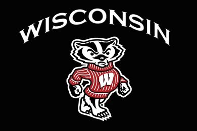 Wisconsin Badgers Games On DVD