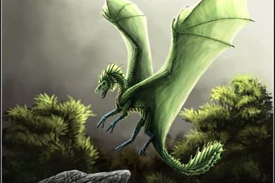 Green Dragon Wallpapers   All Wallpapers New