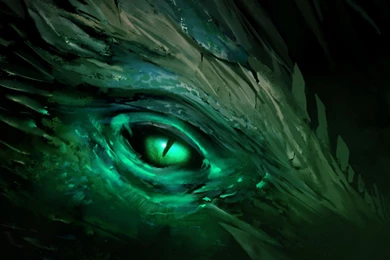 Green Dragon Eye Wallpapers Artistic Wallpapers
