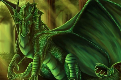 Green Dragon Wallpapers   Fantasy Wallpapers