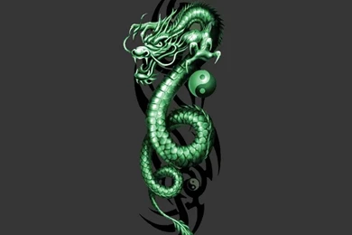 Green Dragon 23 Hd Wallpapers   Hivewallpaper.com