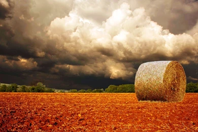 Autumn Wallpapers Hd Nature Wallpapers Photography 1920x1080