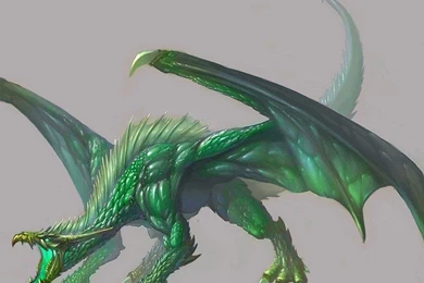 GREEN DRAGON WALLPAPER   (
