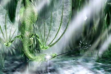 Green Dragon Wallpapers   Fantasy Wallpapers