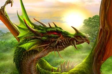 Little Dragon Wallpapers   Wallpapers Cave