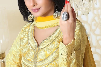 Jennifer Winget : Jennifer Singh Grover (253630)