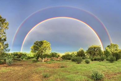 50 Free HD Nature Desktop Wallpapers For Download