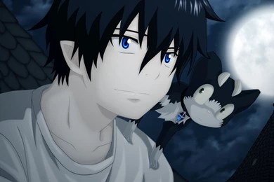 Anime Boy, Pet   HD Wallpapers
