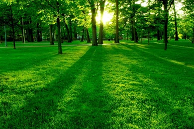 Park HD Desktop Wallpapers : Widescreen : High Definition ...