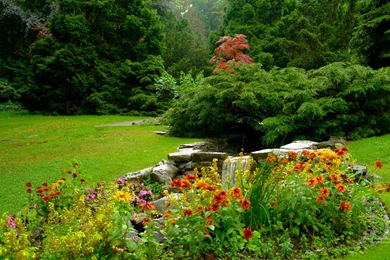 Flower Garden: Green Flowers Garden Nature Wallpapers With 16 18492 ...