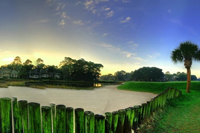 Green Garden Wallpapers   World Wallpapers