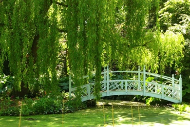 Green Garden   (