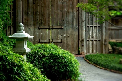 1920x1080 Green Garden Wallpapers