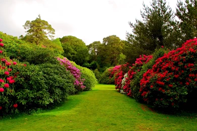 Green Garden Free Mobile Phone Wallpapers