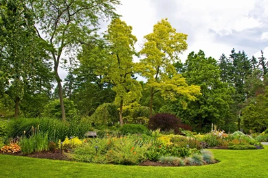 Nature Grass Park Green Garden Trees Flowers Wallpapers