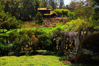 Green Garden Wallpapers