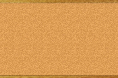 Cole Fox Hardware In Downtown San Francisco