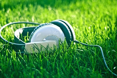 Photography Wallpapers