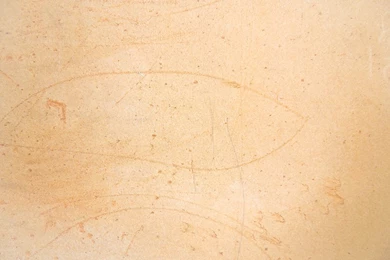 Cork Board Texture 05 By Carlbert On DeviantArt