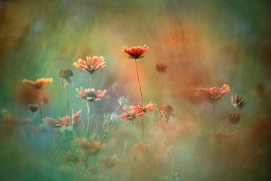 40 Striking High Resolution Photography Wallpapers From National ...