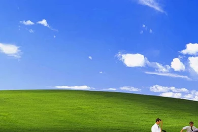 Funny Bliss Windows Xp iPad 3,4 & Air Wallpapers
