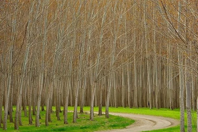 Beautiful Nature Photography Wallpapers 16   Wallcoo.net