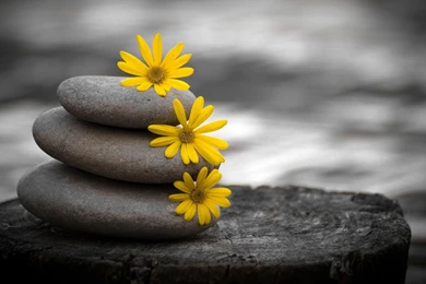 Jestingstock.com Wallpapers Hd Nature 3d Black