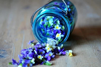 Beautiful Candles Candles And Daisies – Abstract Photography HD ...